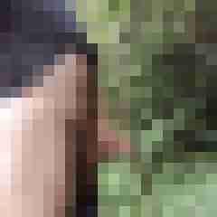 hamue6