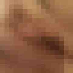 Bunny200