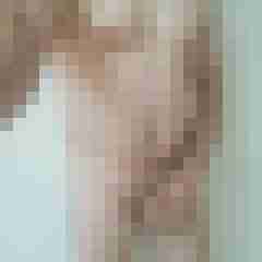 exib1