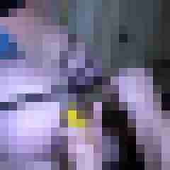 picturefreak