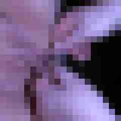 picturefreak