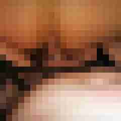 robertbilive