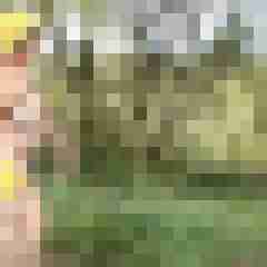 Letsy4u2c