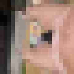 Netterboy66