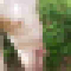 exib1