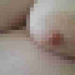 Rubenswild33