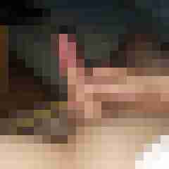 patte83