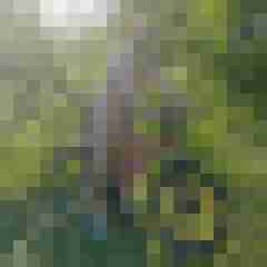 SunFireX