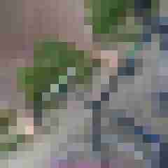 nylonjunge