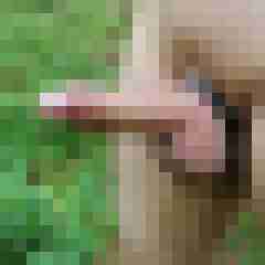 shaved_mechanix