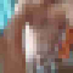 totto44