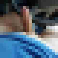 totto44