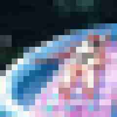 fussficker