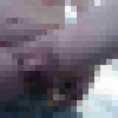 AndreaDW
