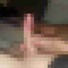 patte83