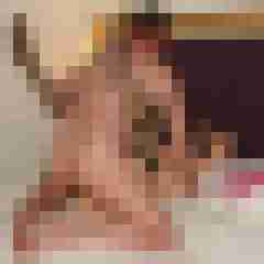 hotte2021