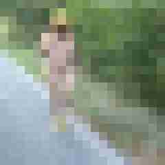 Letsy4u2c