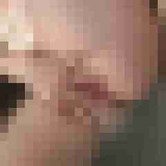 Licker15