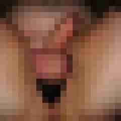 robertbilive