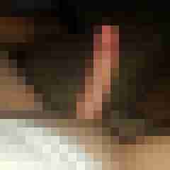 patte83