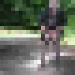franzie01