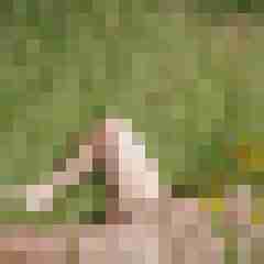 doline