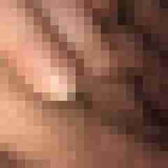 Hotte2