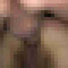 AOPaarHL69