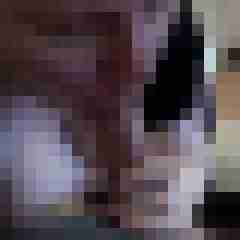 picturefreak
