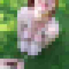 HerrundSub