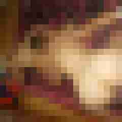 amsel27