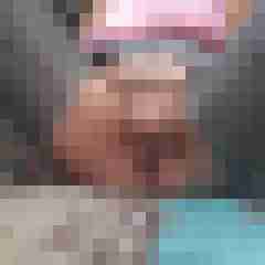 stutenlover
