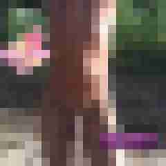 Lolitaboy