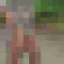 raytantv