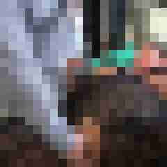 picturefreak