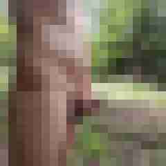 Slsxxx