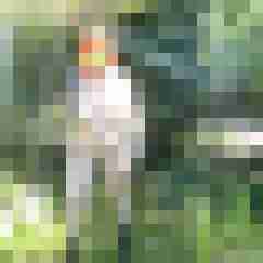 Letsy4u2c