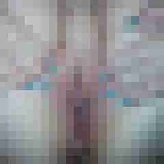 youfortwo
