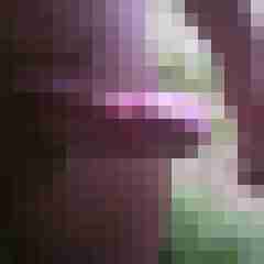 prompt