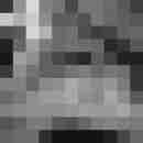 Phorus