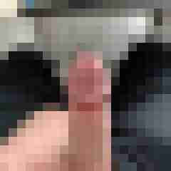 Loverlicker