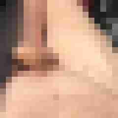 lomdom69