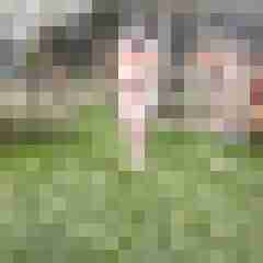 Letsy4u2c