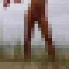 Lolitaboy