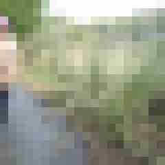 Letsy4u2c