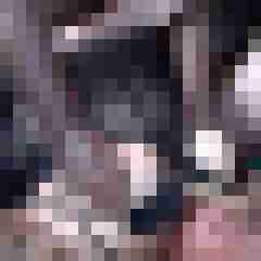 picturefreak