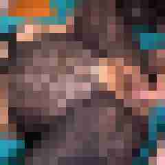 picturefreak