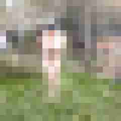 Letsy4u2c