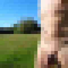 doline