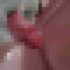 Ber059lin